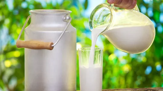 Milk price