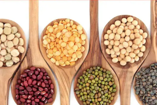 World Pulses Day