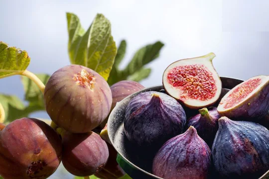 figs