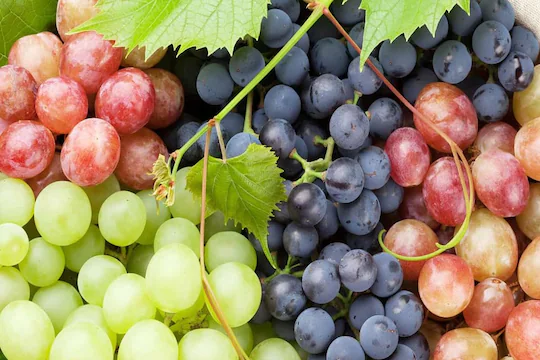 grapes