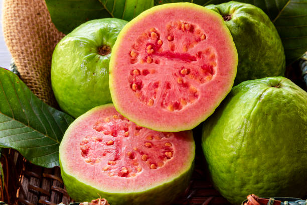 guava leaves