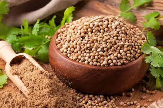 corriander seeds