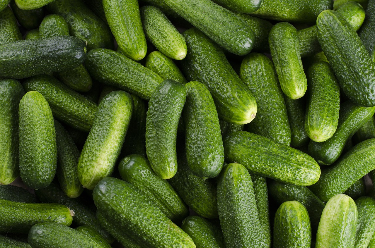 cucumber