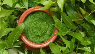 neem water