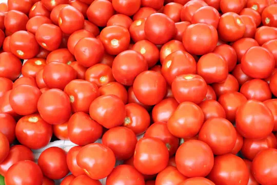 tomatoes