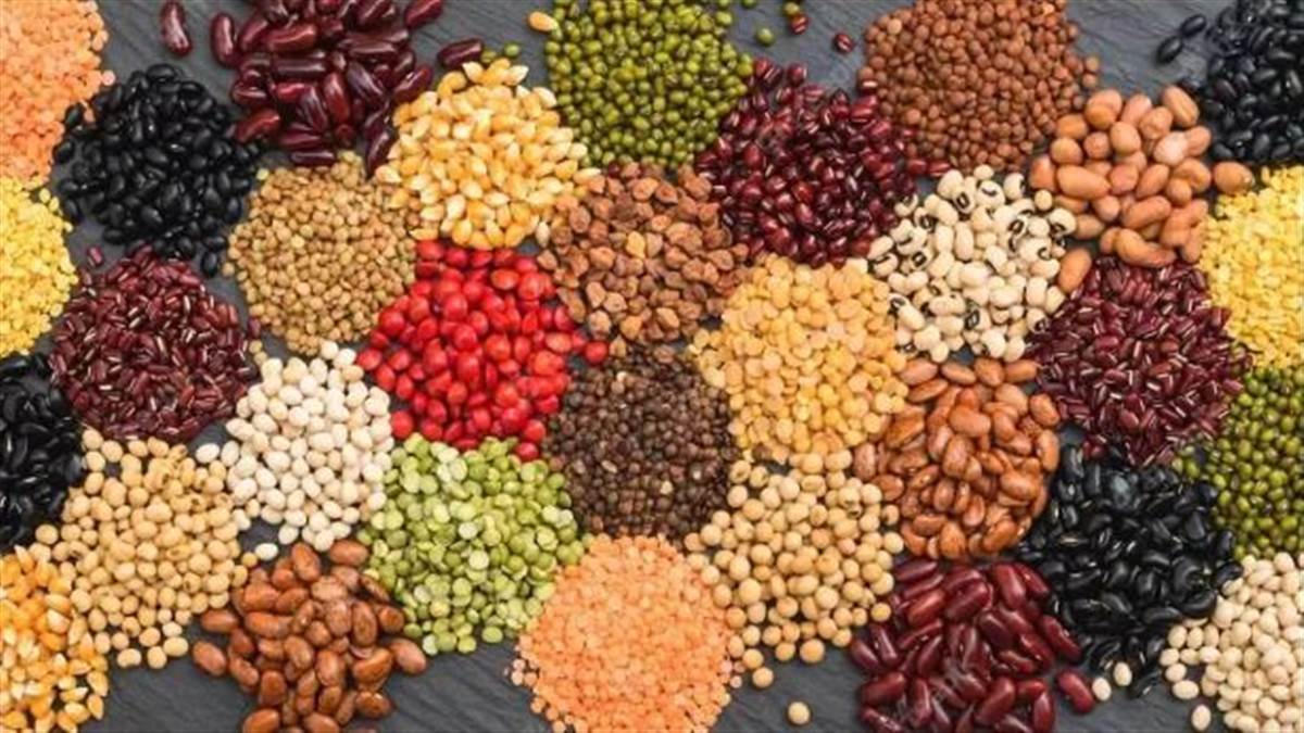 dal prices