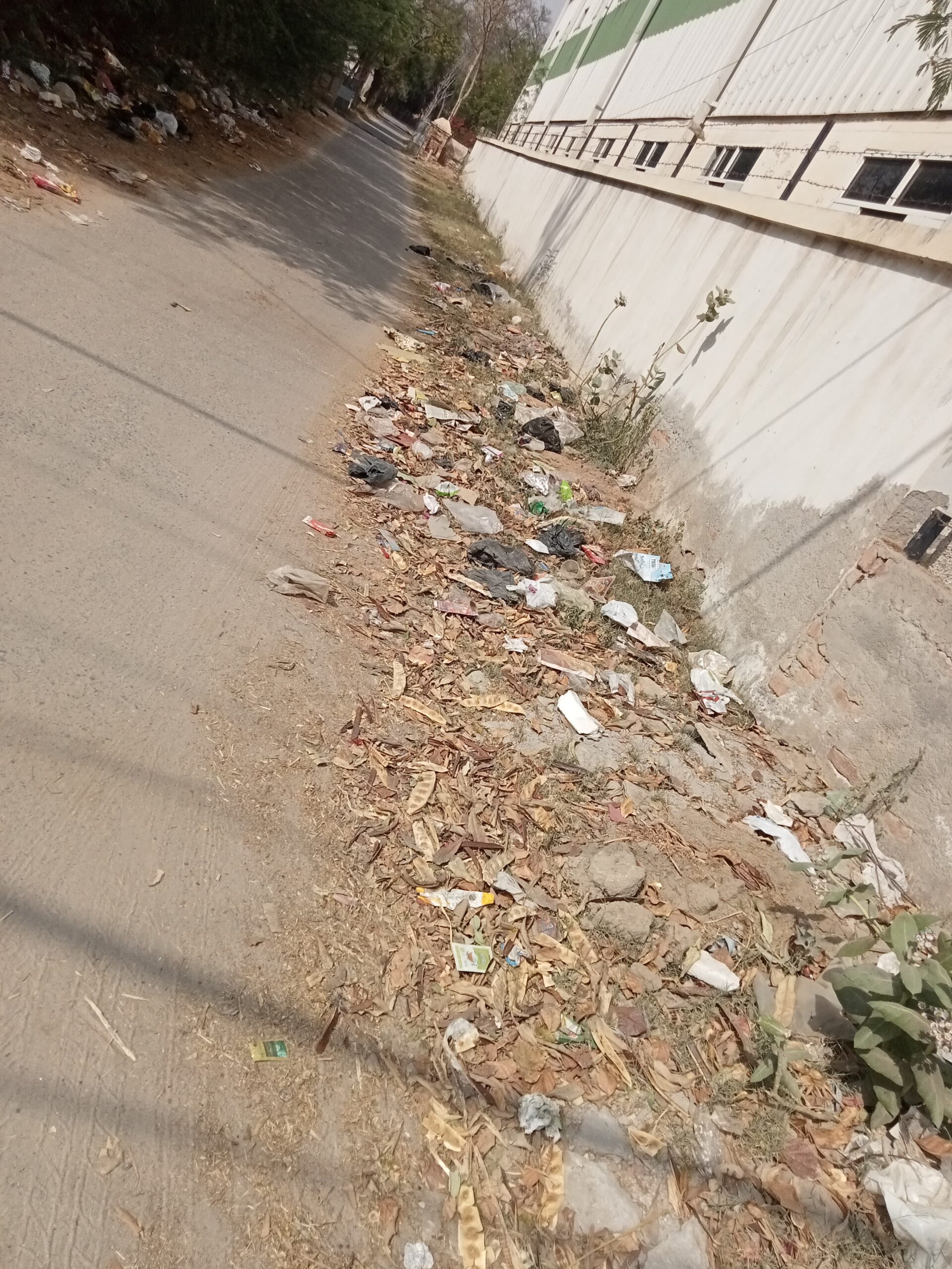 cleaniness drive