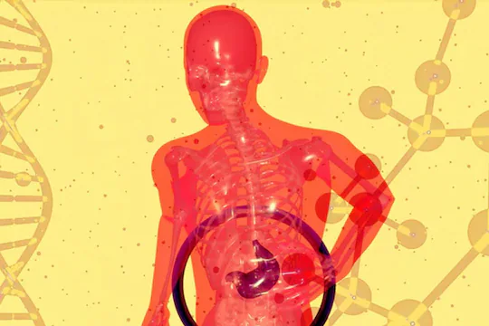 liver health