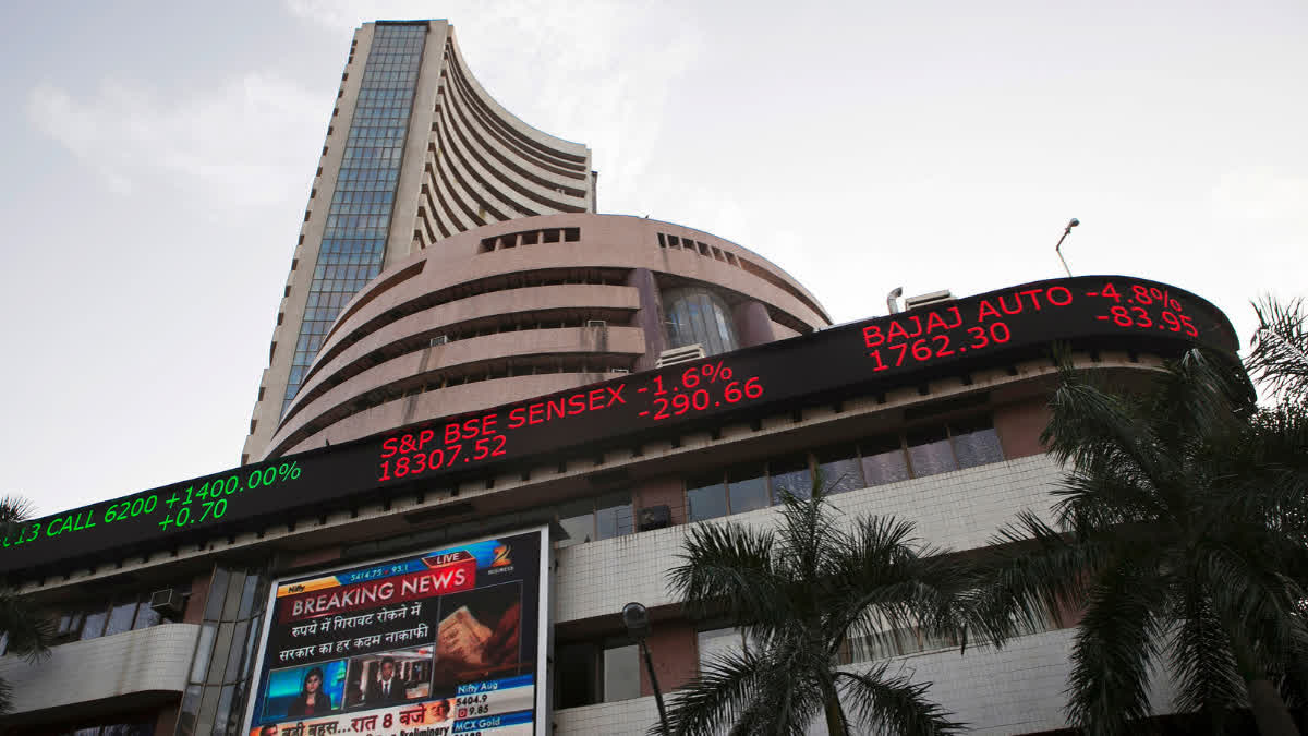 Stock Market