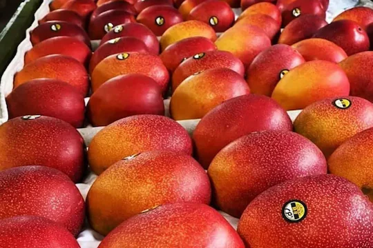 Expensive Mango