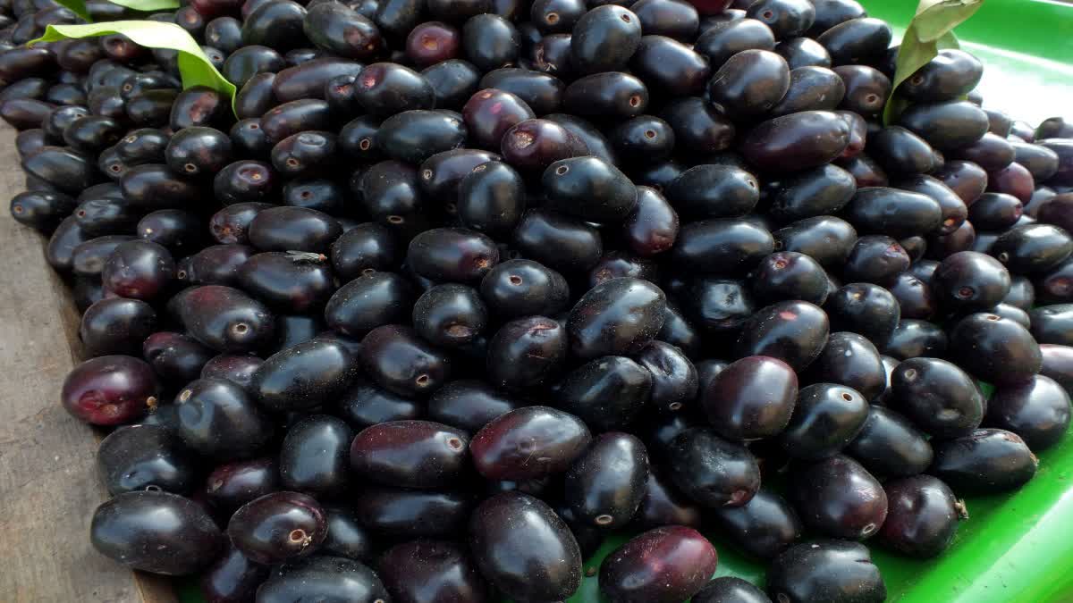 Jamun