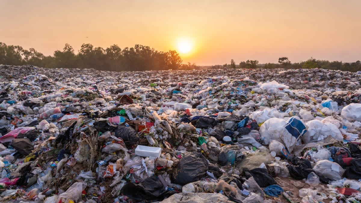 Plastic Pollution