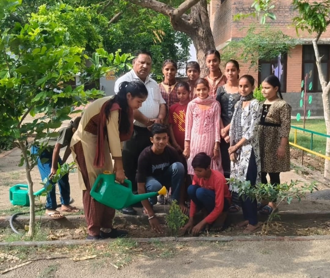 Environment Day