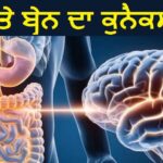 ਗਟ ਅਤੇ ਦਿਮਾਗ ਦਾ ਰਿਸ਼ਤਾ: ਕਿਵੇਂ ਹਾਜ਼ਮਾ ਤੁਹਾਡੇ ਦਿਲ-ਦਿਮਾਗ ਨੂੰ ਪ੍ਰਭਾਵਿਤ ਕਰਦਾ ਹੈ