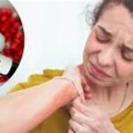 ਯੂਰਿਕ ਐਸਿਡ ਵਧਣ ’ਤੇ ਸਾਵਧਾਨੀ ਜ਼ਰੂਰੀ: ਇਨ੍ਹਾਂ 5 ਚੀਜ਼ਾਂ ਤੋਂ ਦੂਰ ਰਹੋ, ਨਹੀਂ ਤਾਂ ਸਿਹਤ ਨੂੰ ਪੈ ਸਕਦਾ ਹੈ ਭਾਰੀ ਨੁਕਸਾਨ