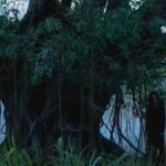 Netflix ‘ਤੇ ਛਾਇਆ 2 ਘੰਟੇ 1 ਮਿੰਟ ਦਾ ਖੌਫ਼ — ਭਾਰਤ ‘ਚ ਟ੍ਰੈਂਡ ਕਰ ਰਹੀ ਡਰਾਵਨੀ ਫ਼ਿਲਮ, ਕਹਾਣੀ ਕੰਬਾ ਦੇਵੇਗੀ ਰੂਹ