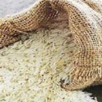 ਪੱਛਮੀ ਏਸ਼ੀਆ ਵਿੱਚ ਜੰਗੀ ਤਣਾਅ ਨਾਲ ਪੰਜਾਬ ਦੀ ਬਾਸਮਤੀ ਨਿਰਯਾਤ ਪ੍ਰਭਾਵਿਤ, ਕਿਸਾਨਾਂ ਅੱਗੇ ਵੱਡੀ ਚੁਣੌਤੀ