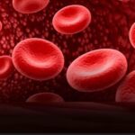 ਖੂਨ ਦੀ ਕਮੀ ਦੂਰ ਕਰਨ ਲਈ ਖਾਓ ਇਹ 4 ਸੁਪਰਫੂਡ, ਤੁਰੰਤ ਮਿਲੇਗੀ ਐਨਰਜੀ