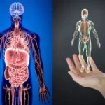 ਜੇ ਸਰੀਰ ਵਿੱਚ ਇਹ 10 ਸੰਕੇਤ ਨਜ਼ਰ ਆਉਂਦੇ ਹਨ ਤਾਂ ਇਸਦਾ ਮਤਲਬ ਹੈ ਕਿ ਤੁਸੀਂ ਪੂਰੀ ਤਰ੍ਹਾਂ ਸਿਹਤਮੰਦ ਹੋ