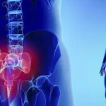 ਸੈਂਕੜਿਆਂ ਸਾਲਾਂ ਬਾਅਦ ਵੀ ਨਾ ਸੜਨ ਵਾਲਾ ਮਨੁੱਖੀ ਅੰਗ, ਜਾਣੋ ਕਿਹੜਾ ਹੈ ਇਹ Part!