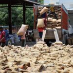 Wheat Lifting: ਪੰਜਾਬ ਵਿੱਚ ਕਣਕ ਦੀ ਚੁਕਾਈ ਨੇ ਰਫ਼ਤਾਰ ਫੜੀ