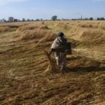 ਫ਼ਸਲਾਂ ਦੇ ਨੁਕਸਾਨ ਨੂੰ ਦੇਖਦਿਆਂ ਮੁੱਖ ਮੰਤਰੀ Bhagwant Mann ਨੇ ਵਿਸ਼ੇਸ਼ ਗਿਰਦਾਵਰੀ ਦੇ ਹੁਕਮ ਜਾਰੀ ਕੀਤੇ