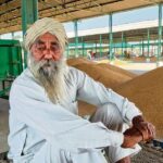 ਪੰਜਾਬ ਨਿਊਜ਼ : ਕਣਕ ਦੀ ਖਰੀਦ ਦੇ ਮਾਪਦੰਡਾਂ ਕਾਰਨ ਕਿਸਾਨ ਪਰੇਸ਼ਾਨ