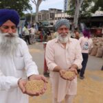 ਜਲੰਧਰ ਦੀਆਂ ਮੰਡੀਆਂ ’ਚ ਕਣਕ ਦੀ ਆਮਦ ਸ਼ੁਰੂ: ਮੌਸਮ ਦੀ ਮਾਰ ਨੇ ਫ਼ਸਲ ਦੀ ਚਮਕ ਪਈ ਫਿੱਕੀ