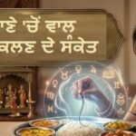 ਰਾਹੂ ਦਾ ਸਾਇਆ ਜਾਂ ਪਿੱਤਰਾਂ ਦੀ ਨਾਰਾਜ਼ਗੀ? ਖਾਣੇ ‘ਚ ਵਾਰ-ਵਾਰ ਨਿਕਲ ਰਿਹਾ ਹੈ ਵਾਲ, ਸਮਝ ਲਓ ਸ਼ੁਰੂ ਹੋਣ ਵਾਲੇ ਹਨ ਬੁਰੇ ਦਿਨ
