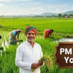 PM Kisan Yojana ਦੀ 24ਵੀਂ ਕਿਸ਼ਤ ਤੋਂ ਪਹਿਲਾਂ ਝੋਨੇ ਦੀ MSP ‘ਤੇ ਵੱਡਾ ਅਪਡੇਟ, ਸਰਕਾਰ ਨੇ ਸੰਸਦ ‘ਚ ਦਿੱਤੀ ਅਹਿਮ ਜਾਣਕਾਰੀ